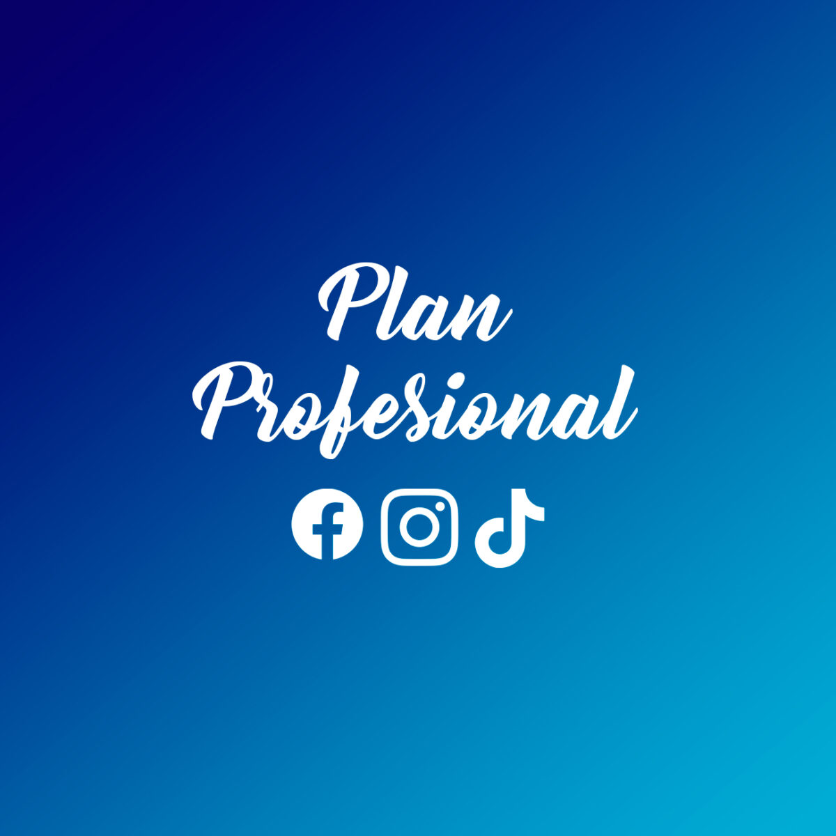 plan-profesional-ritfly