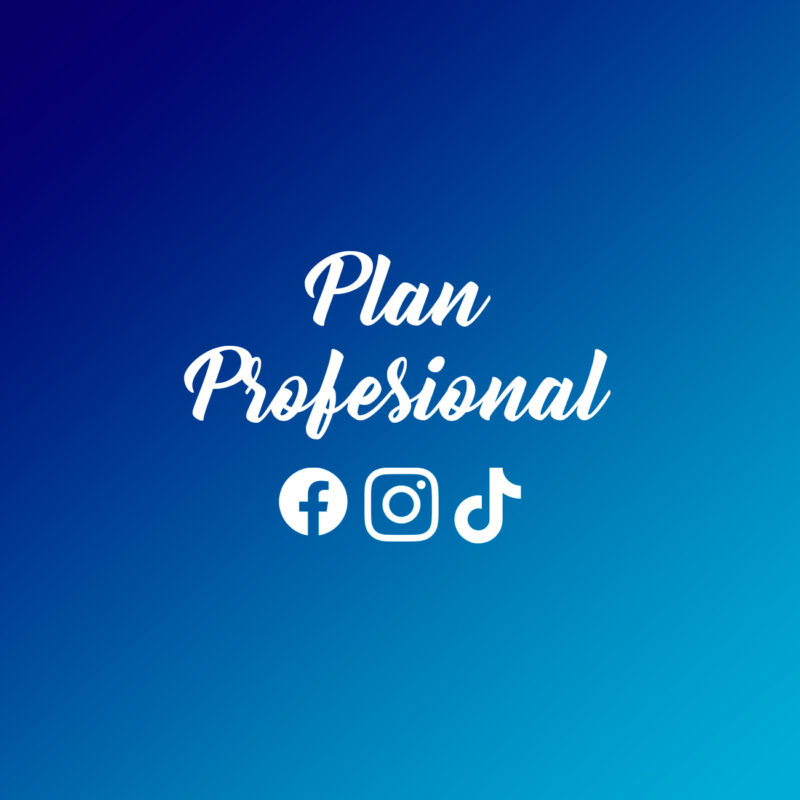 plan-profesional-ritfly